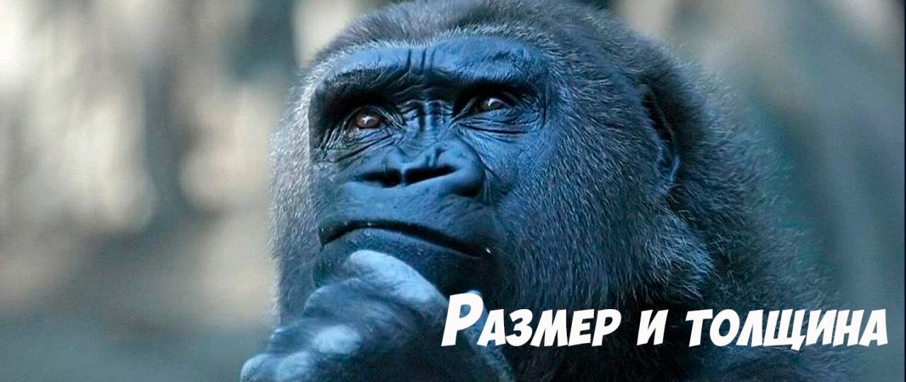 Размеры и толщина коврика